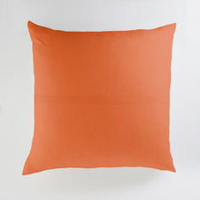 Load image into Gallery viewer, Minted Pillows Minted Sherbet Rainbow Large Floor Pillow
