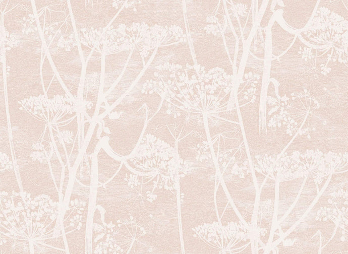 Cole & Son Wallpaper Cole & Son Cow Parsley Wallpaper - Plaster Pink