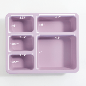 Austin Baby Collection Apparel & Accessories Austin Baby Collection Silicone Bento Box Camper Violet