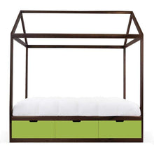Load image into Gallery viewer, Nico and Yeye Beds And Headboards TWIN / WALNUT / GREEN Nico and Yeye Domo Zen Bed with Drawers
