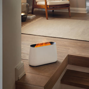 Stadler Form Humidifiers, Dehumidifiers, and Sound Machines Stadler Form Ben Humidifier and Aroma Diffuser