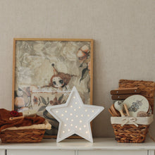 Load image into Gallery viewer, Little Lights US lamp Little Lights Star Lamp