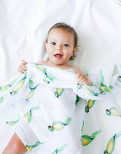 Load image into Gallery viewer, Malabar Baby Malabar Organic Swaddle - Parrot