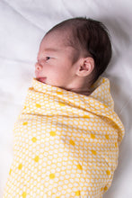 Load image into Gallery viewer, Malabar Baby Organic Swaddle - Hive