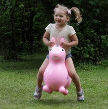 Load image into Gallery viewer, KETTLER USA Playhouse KETTLER® Country Playhouse &amp; Rody Magical Unicorn Sets