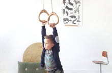 Load image into Gallery viewer, Lillagunga Toys Birch / Colorless / 2.0-2.8 m Lillagunga Gymnastic Rings