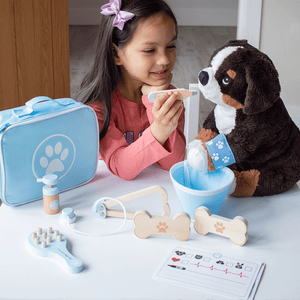 Bigjigs Toys Veterinary Set