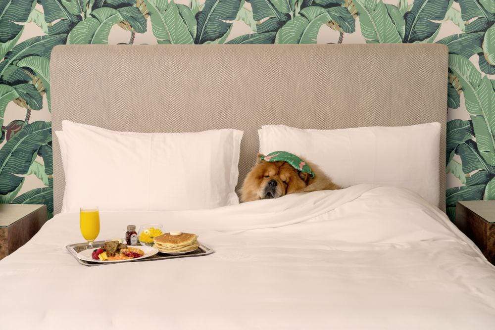 Gray Malin Wall Art 11.5x17 / Print Only Gray Malin Breakfast in Bed, The Beverly Hills Hotel