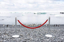 Load image into Gallery viewer, Gray Malin Wall Art 11.5x17 / Print Only Gray Malin Penguin Stanchion, Antarctica