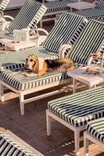 Load image into Gallery viewer, Gray Malin Wall Art 11.5x17 / Print Only Gray Malin The Basset Hound, The Beverly Hills Hotel