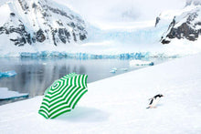 Load image into Gallery viewer, Gray Malin Wall Art 11.5x17 / Print Only Gray Malin The Beach Umbrella, Antarctica