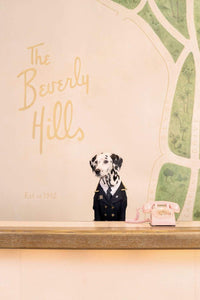 Gray Malin Wall Art 11.5x17 / Print Only Gray Malin The Concierge, The Beverly Hills Hotel