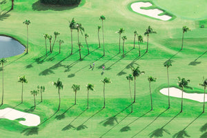 Gray Malin Wall Art 11.5x17 / Print Only Gray Malin The Golfers, Palm Beach