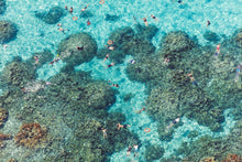Load image into Gallery viewer, Gray Malin Wall Art 11.5x17 / Print Only Gray Malin The Reef, Bora Bora