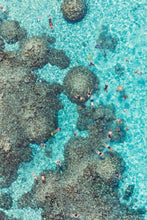 Load image into Gallery viewer, Gray Malin Wall Art 11.5x17 / Print Only Gray Malin The Reef, Bora Bora (Vertical)