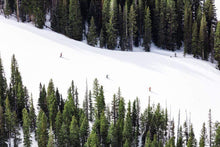 Load image into Gallery viewer, Gray Malin Wall Art 11.5x17 / Print Only Gray Malin Three Skiers, Aspen