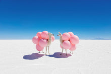 Load image into Gallery viewer, Gray Malin Wall Art 36 x 54 / Print Only Gray Malin Two Llamas with Pink Balloons