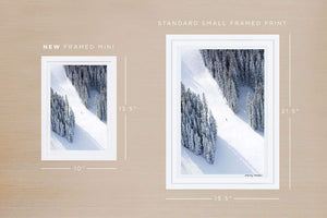 Gray Malin Wall Art Gray Malin Aspen Lone Skier Mini