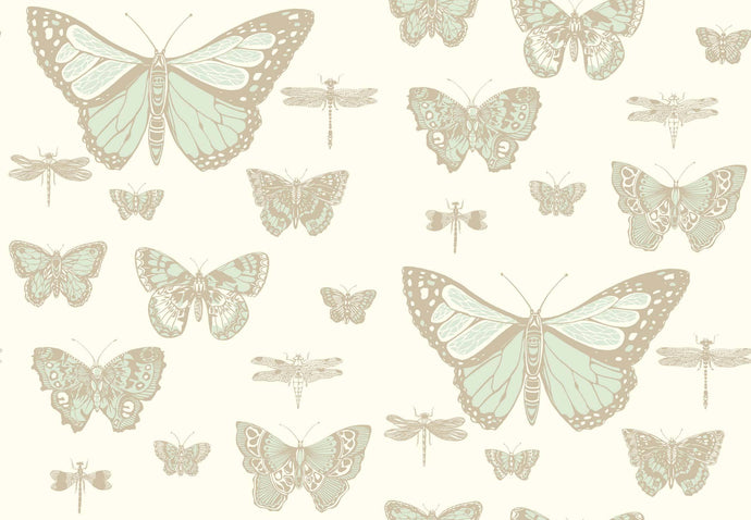 Cole & Son Wallpaper Cole & Son Butterflies & Dragonflies Wallpaper - Duck Egg Ivory