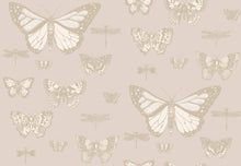 Load image into Gallery viewer, Cole &amp; Son Wallpaper Cole &amp; Son Butterflies &amp; Dragonflies Wallpaper - Grey