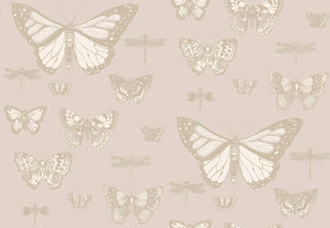 Cole & Son Wallpaper Cole & Son Butterflies & Dragonflies Wallpaper - Grey