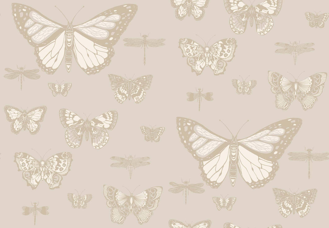 Cole & Son Wallpaper Cole & Son Butterflies & Dragonflies Wallpaper - Grey