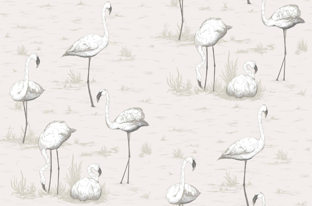 Cole & Son Wallpaper Cole & Son Flamingos Wallpaper - Charcoal and White