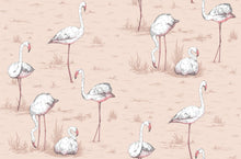 Load image into Gallery viewer, Cole &amp; Son Wallpaper Cole &amp; Son Flamingos Wallpaper - Plaster Pink