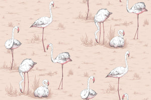 Cole & Son Wallpaper Cole & Son Flamingos Wallpaper - Plaster Pink