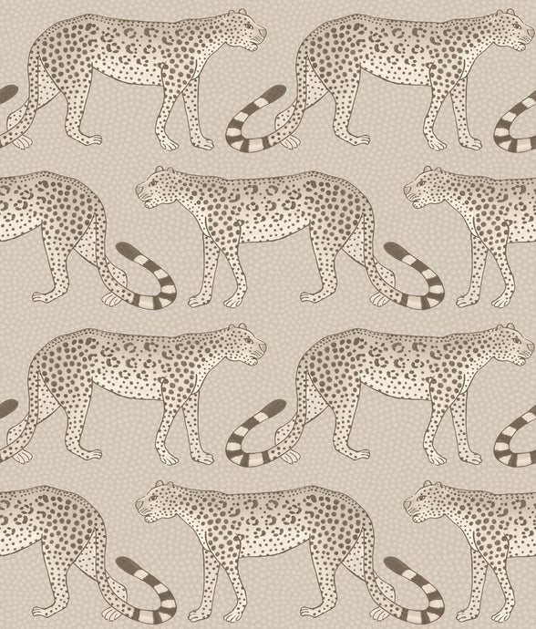 Cole & Son Wallpaper Cole & Son Leopard Walk Wallpaper - Stone