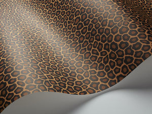 Cole & Son Wallpaper Cole & Son Senzo Spot Wallpaper - True Leopard