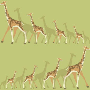 DwellStudio Wallpaper Double Roll / Green/Orange DwellStudio Giraffes Sure Strip Wallpaper Double Roll