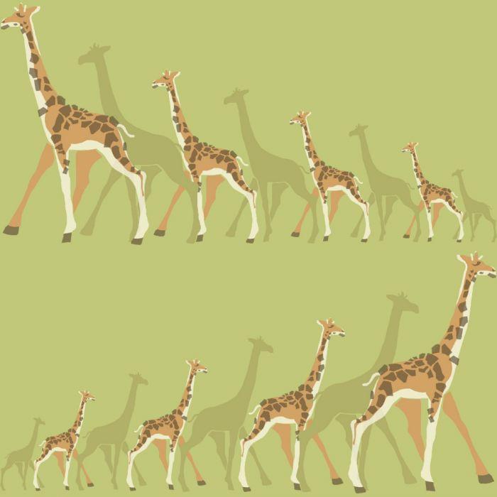 DwellStudio Wallpaper Double Roll / Green/Orange DwellStudio Giraffes Sure Strip Wallpaper Double Roll