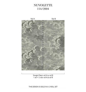 Fornasetti Wallpaper Fornasetti Nuvolette Wallpaper - Gilver & Charcoal