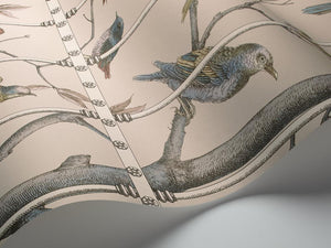 Fornasetti Wallpaper Fornasetti Uccelli Wallpaper - Ballet Slipper