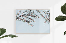 Load image into Gallery viewer, Anewall Wallpaper Print: Canvas Print - 54”(W) x 40”(H) Anewall Just Peachy Mural Wallpaper