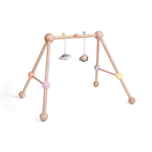 Load image into Gallery viewer, PlanToys USA Wooden Toys PlanToys Play Gym - Pastel Series